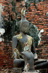 Monkey Temple - Lopburi