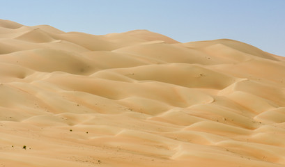 Desert panorama Liwa dunes