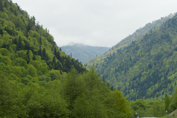 Горы Архыза © waldemarus