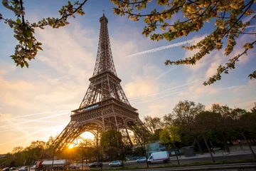 Deurstickers Eiffeltoren tijdens de lente in Parijs, Frankrijk © Tomas Marek