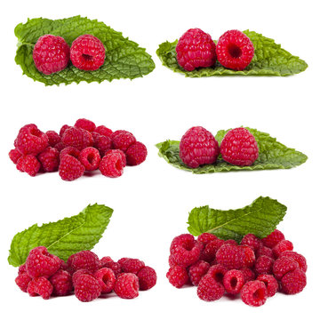 collection of raspberries isolated