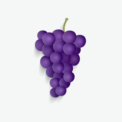 vector illustration of isolated grape.