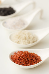 Variety of Different sea salts