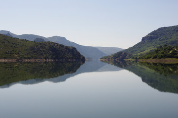 Fototapeta premium Reflections in the lake