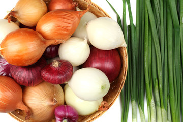 Different raw onion, close up