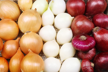 Different raw onion, close up