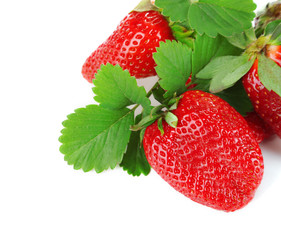 Strawberries with leaves isolated on white