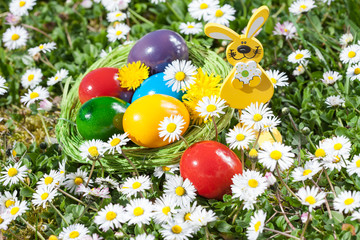 Easter Nest on a Meadow with Flowers