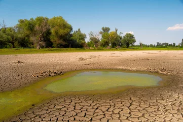 Rolgordijnen Vervuild water en gebarsten grond tijdens droogte © Solid photos
