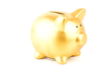 gold piggy bank isolated white background