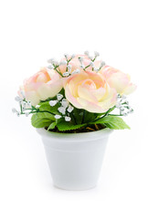 Plastic flower vase isolated white background