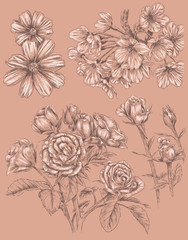 Detailed Sketchbook Hand Drawn Flower Set