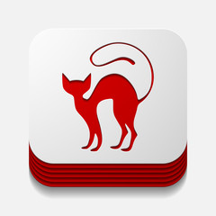app concept: cat