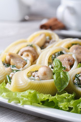 Italian macaroni stuffed with mushrooms, spinach and cheese clo