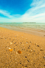 summer morning on the beach