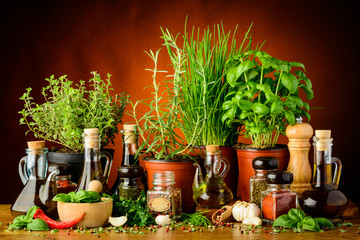Still life with fresh green herbs and spices