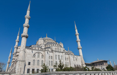 Fototapeta na wymiar Blue mosque, Istanbul, Turkey