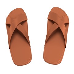 realistic 3d render of sandals