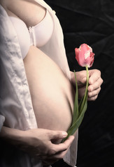 Pregnancy,pregnant woman holding a tulip flower.