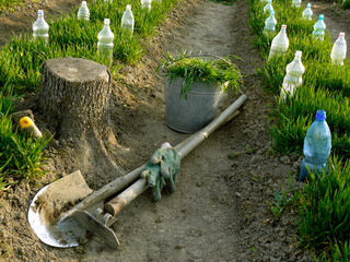 garden tools between vegetable beds with small hothouses