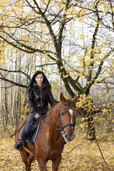 equestrian on horseback in autumnal nature