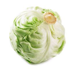 Cabbage lettuce isolated