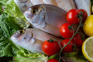 pesce fresco