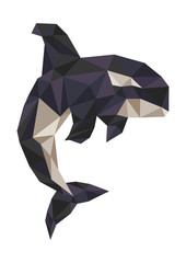 killer whale