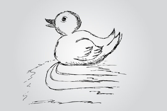 hand draw sketch, duck