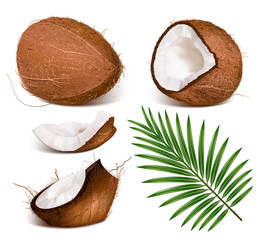 Coconuts with leaves.