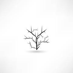 tree icon