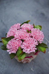 Carnations