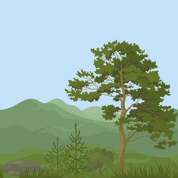 Seamless, mountain landscape with trees