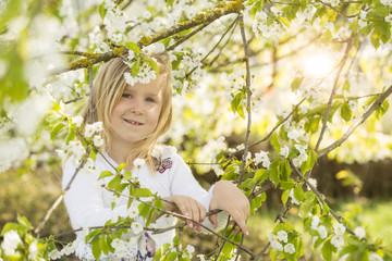 Portrait eines kleinen Mädchens unter einem Kirschbaum