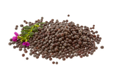 Black mustard seeds