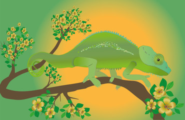 An illustration of a chameleon