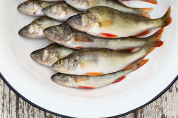 River perch in a white basin on the wooden stool