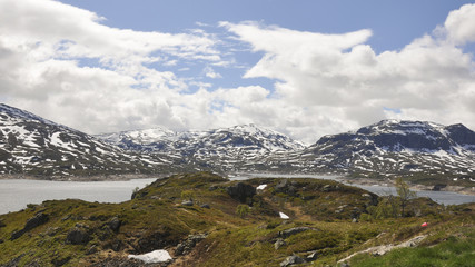 Haukelifjell, Passstrasse, Mittelgebirge, Roldal, Norwegen