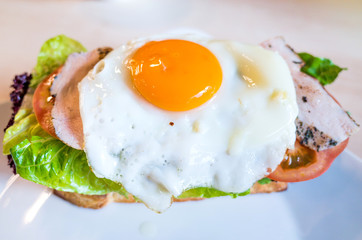 Sandwich with chicken