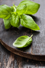Fresh basil