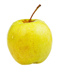 yellow golden delicious apple