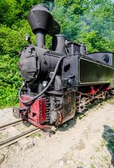 Obraz premium Mocanita train in Vaser Valley, Maramures