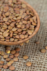 brown lentils in a wooden spoon