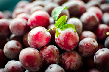 Group of plums