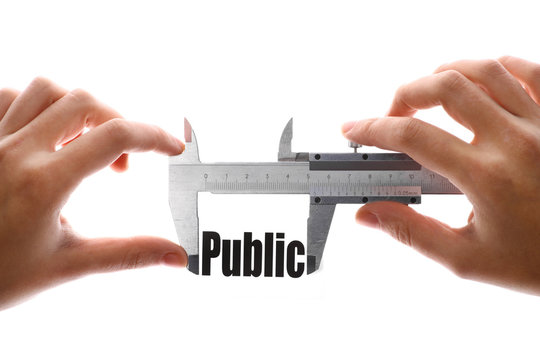 The size of our public