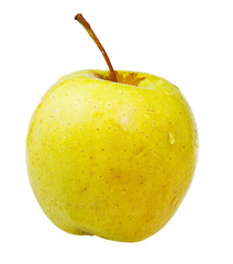 one golden delicious apple