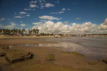 Spiaggia sull'oceano Atlantico, Paraiba Brasile