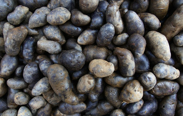 Black Potatoess