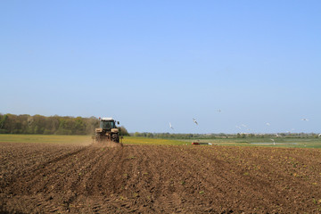 Fototapeta premium tracteur dans les champs