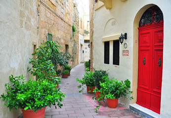 Fototapeta na wymiar Colorful patio in Malta
